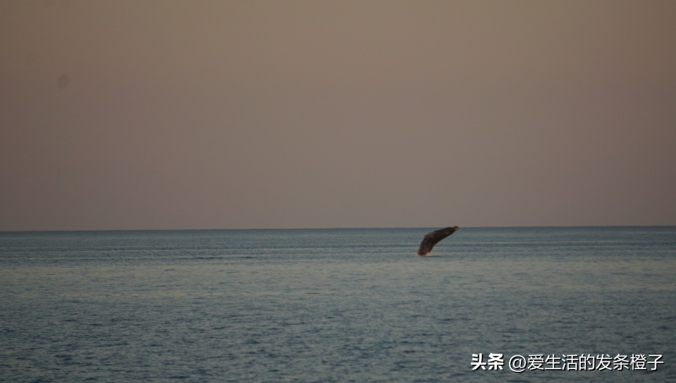 一路向北全程1980公里,西澳自驾游最佳路线图