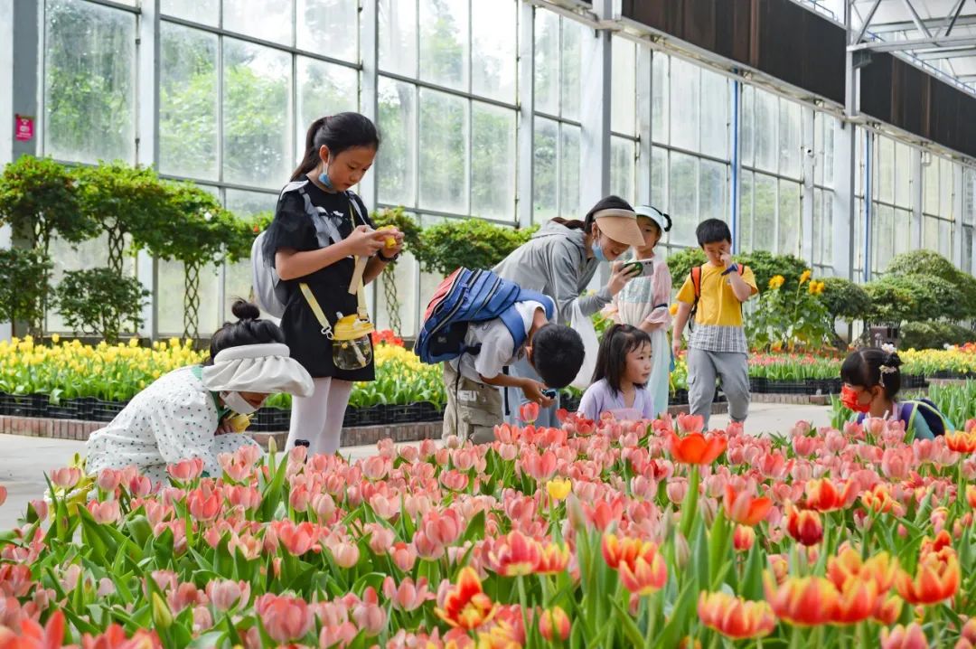 值得带娃去玩的景区推荐,无锡免费景区有哪些地方好玩