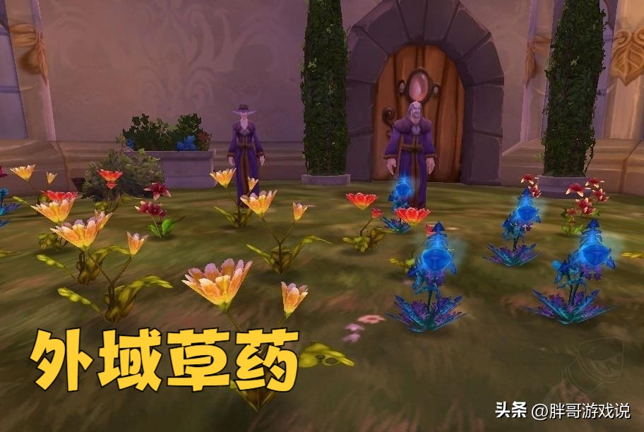 魔兽wlk必做任务攻略 (魔兽世界wlk各阶段的材料价格)