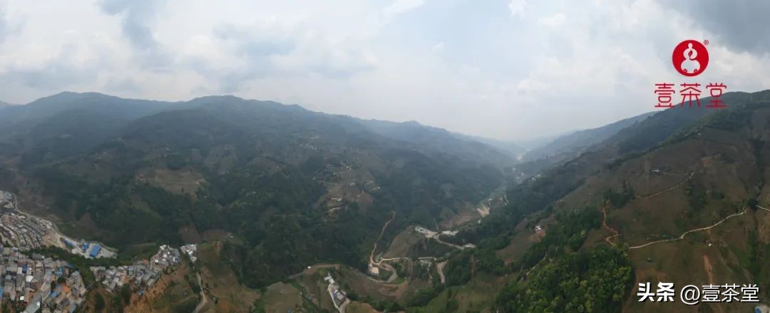 云南茶叶种类名优茶,云南四大茶区特点及茶类