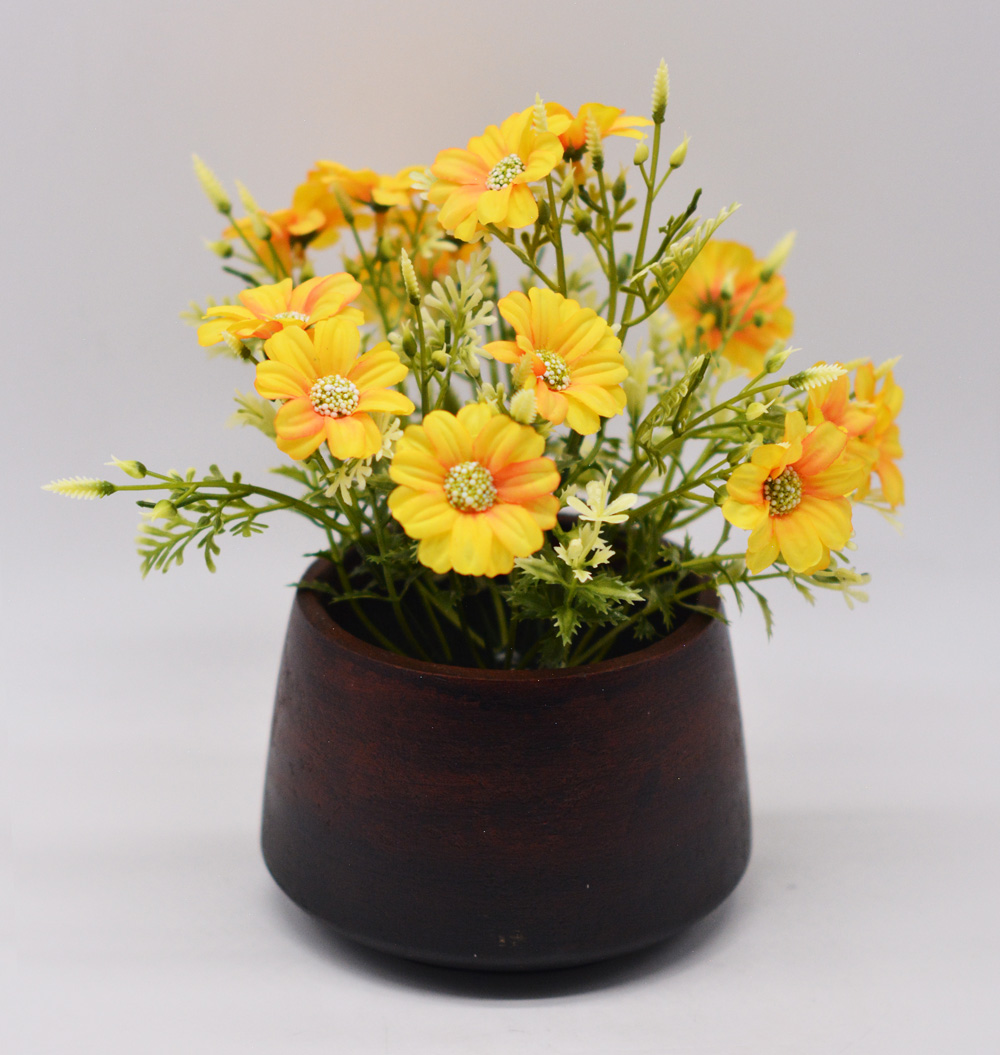 樱花的寓意和花语的作文,樱花的寓意和花语是什么