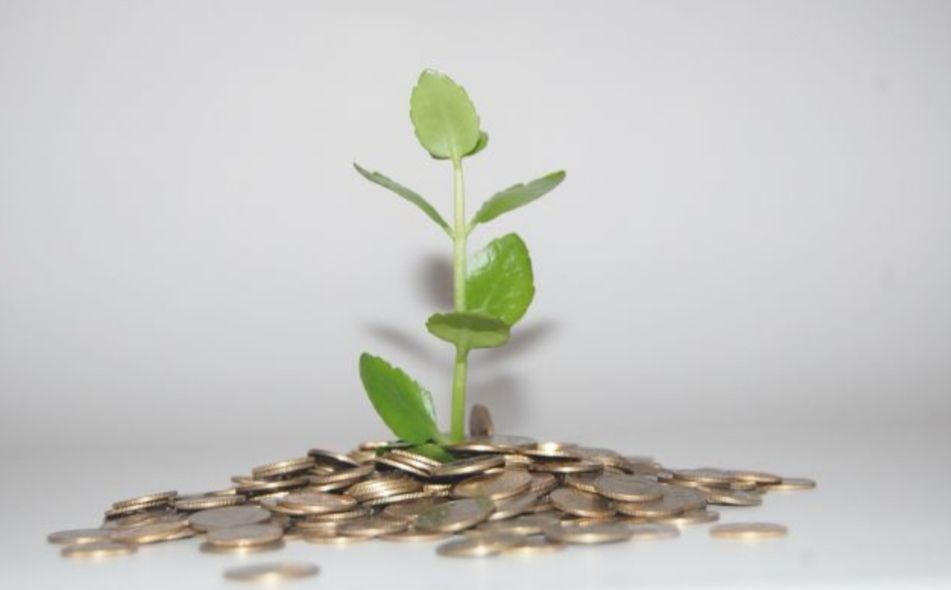 一个月伙食费201元是有多划算,一家人一个月伙食费多少合适