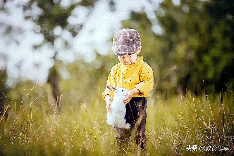 纸箱里的孩子,也可以很快乐