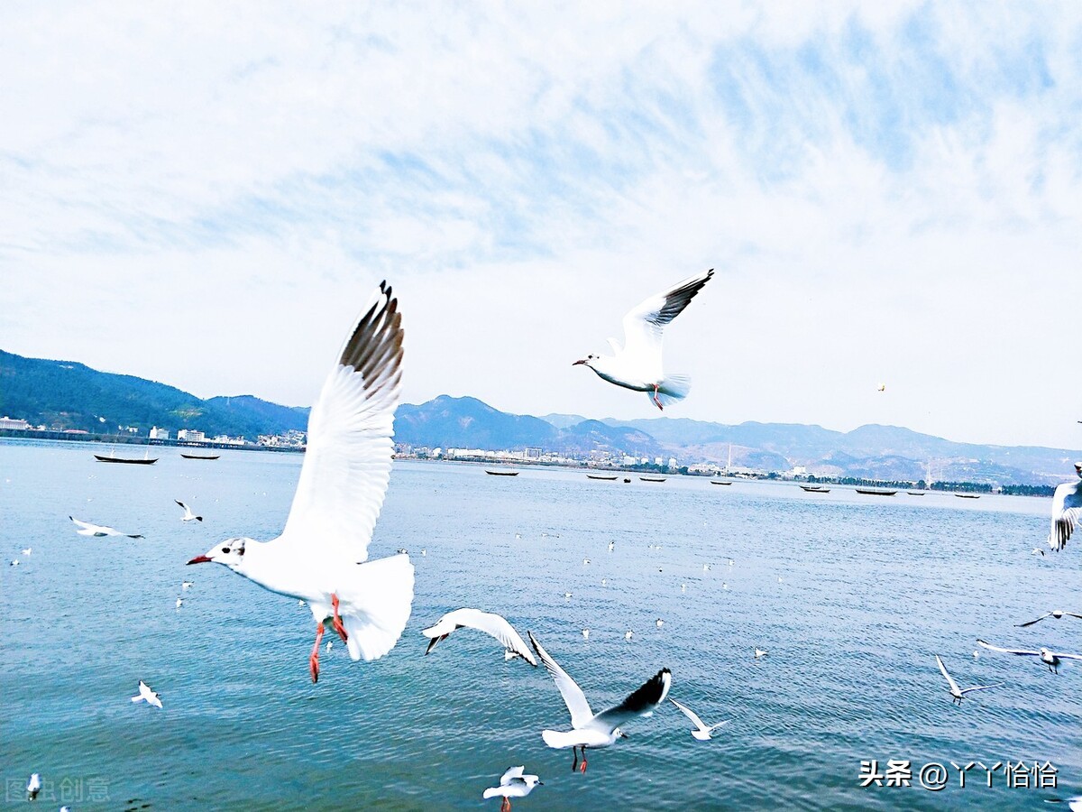 送礼物给孩子送什么比较合适,送礼物给儿童送什么比较好呢