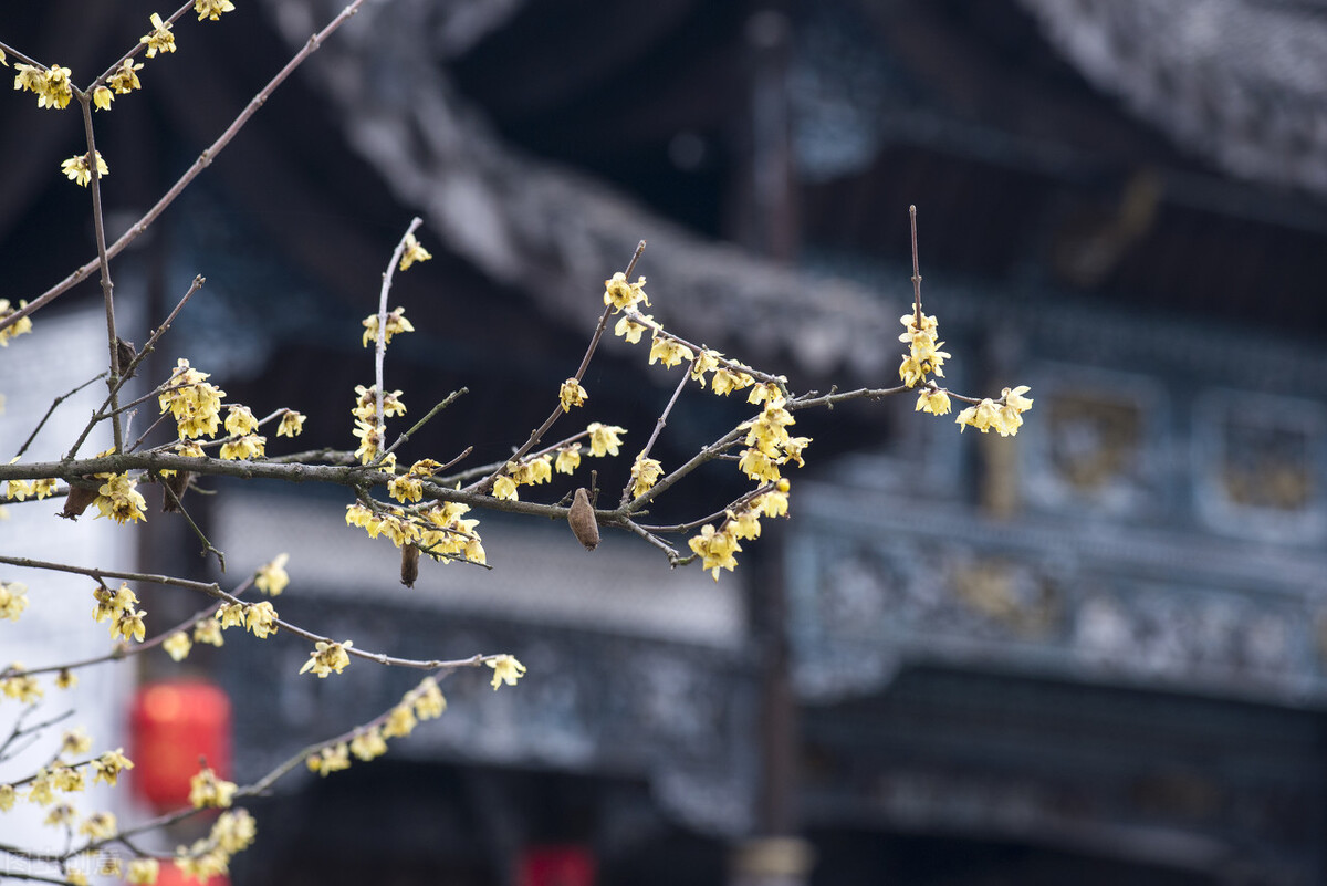 老了老伴走了剩下一个人怎么办,如果老伴走了你要做好四件事