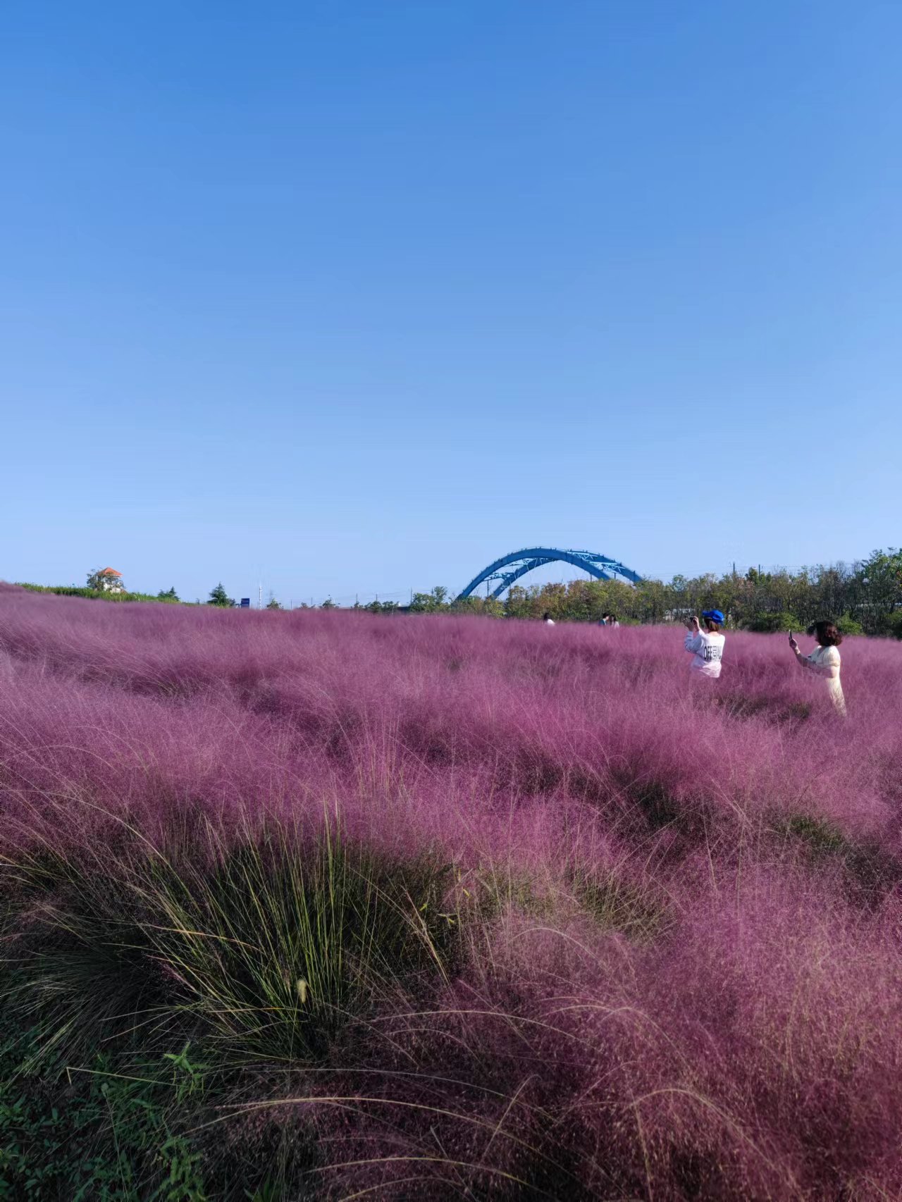 上海去苏州地铁一日游最佳路线,上海苏州地铁旅游线路