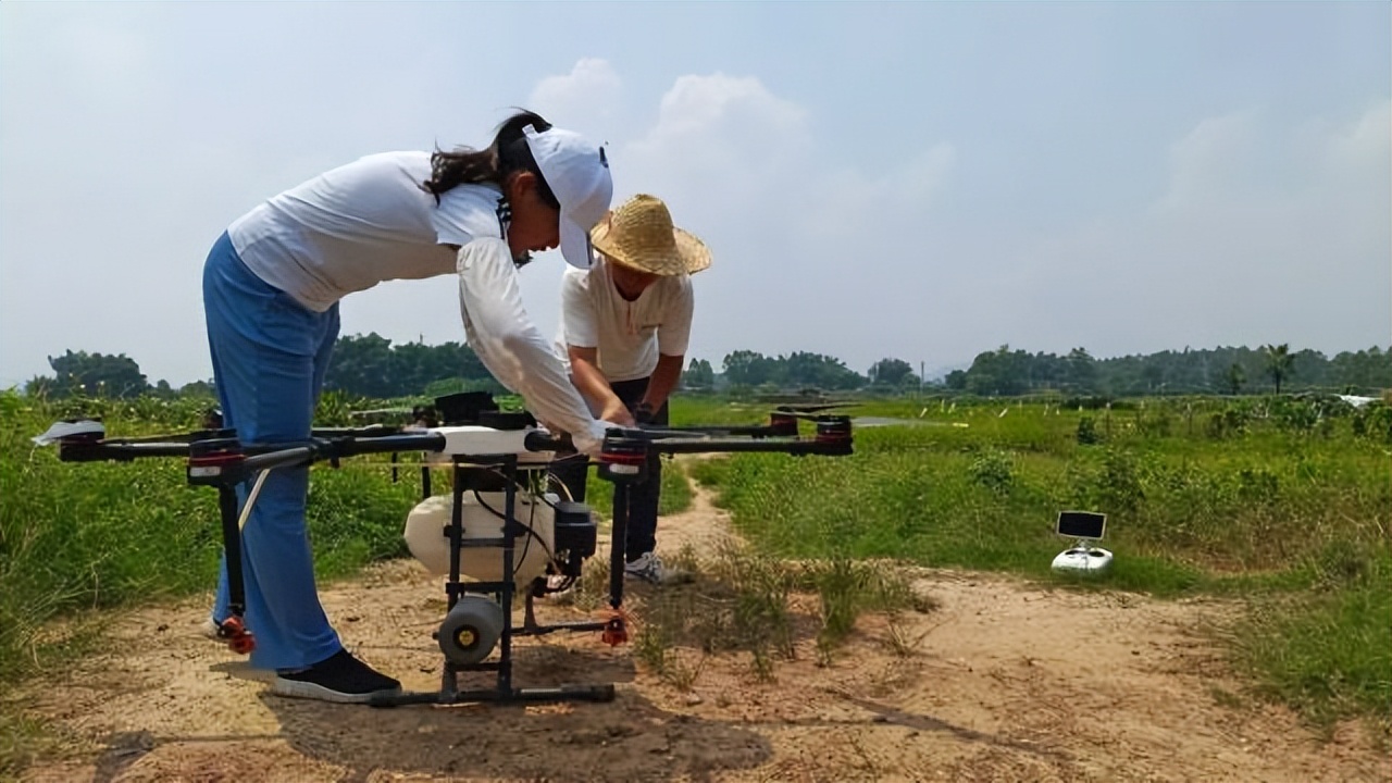 返乡创业新农人90后,创业90后新农人