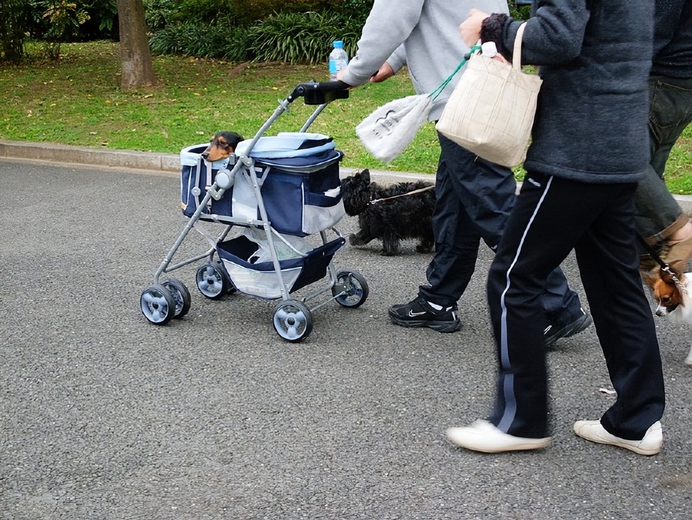 日本唐人街游玩,日本横滨山下公园风景