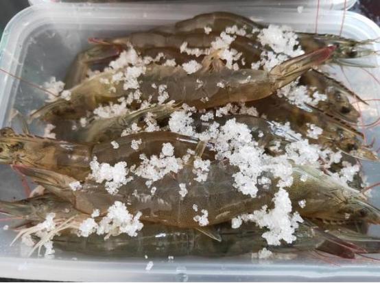 冬天大虾不放冰箱可以吗,大虾怎么保存保鲜不黑