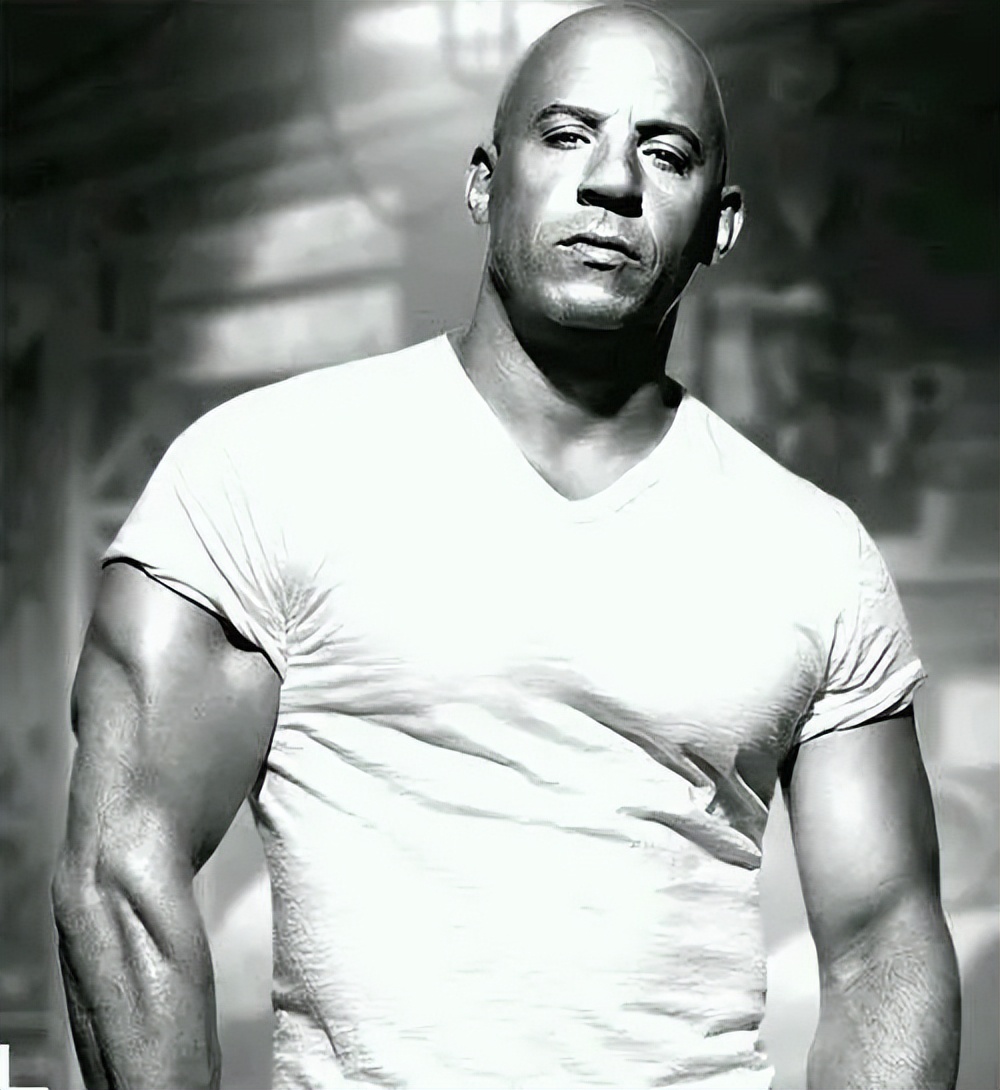 范迪塞尔是个什么样的人,范迪塞尔到底是什么人