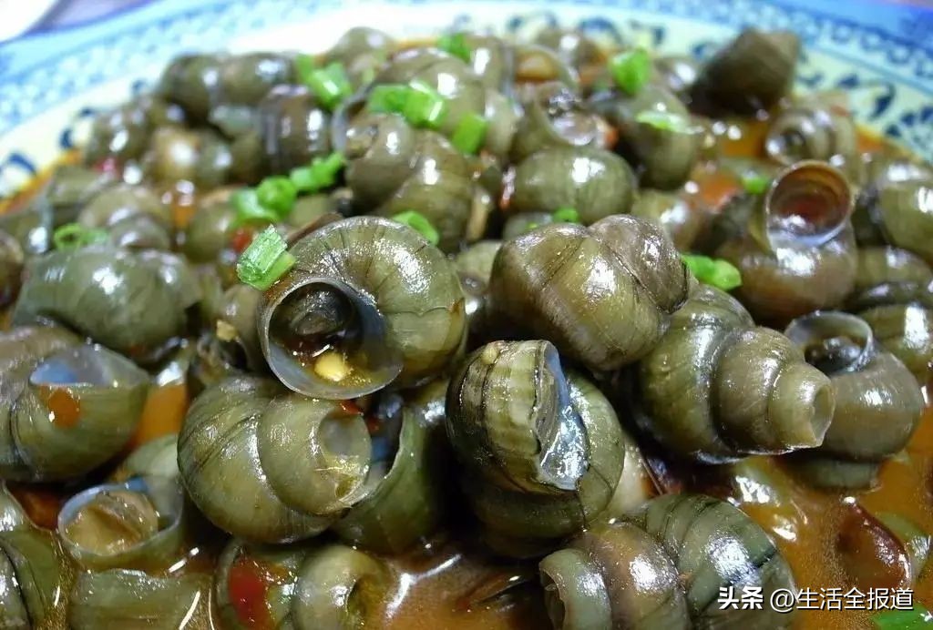 明前螺蛳赛鹅肉,明前螺蛳赛鹅肉下一句