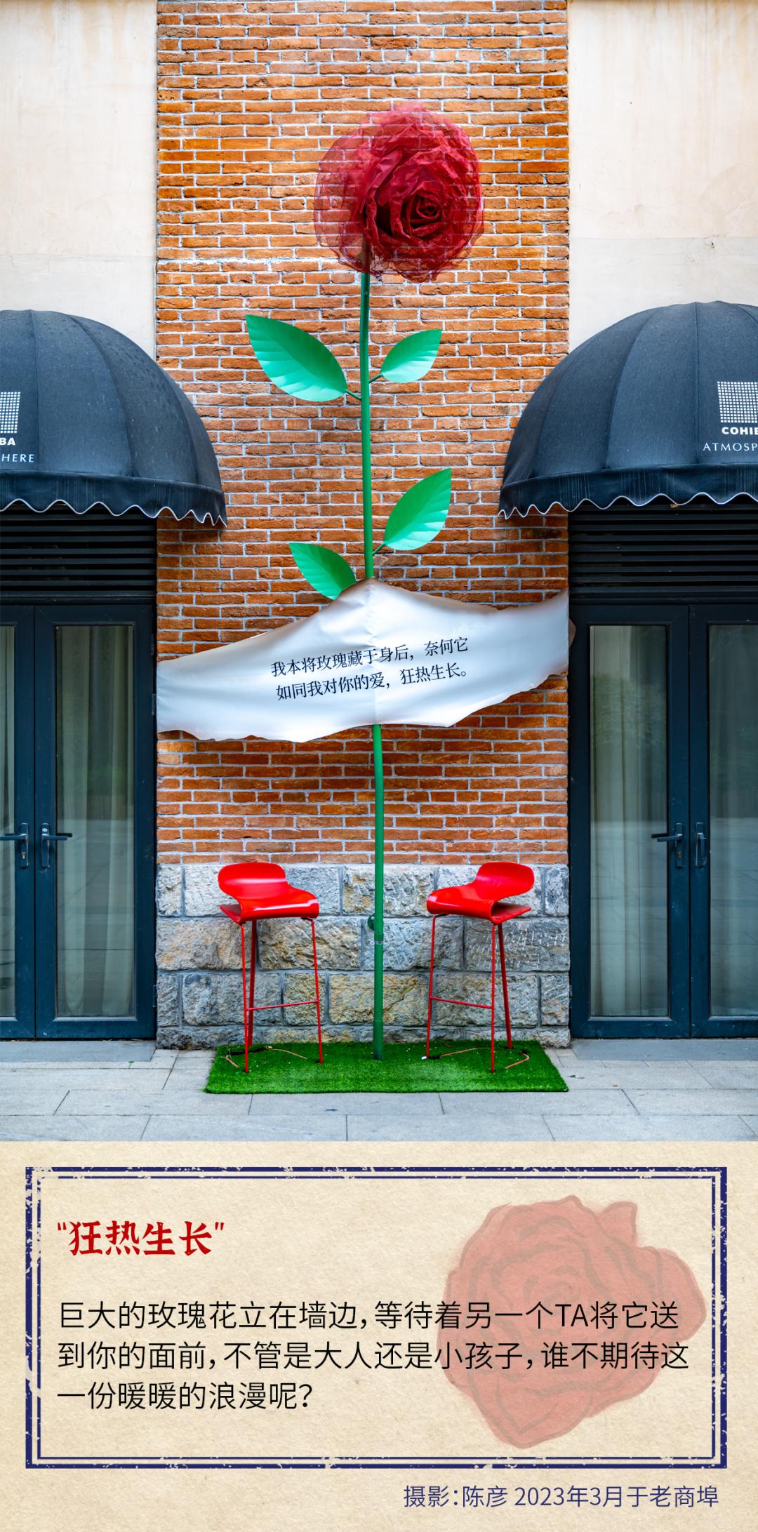 济南最浪漫的路,济南最浪漫的一条街