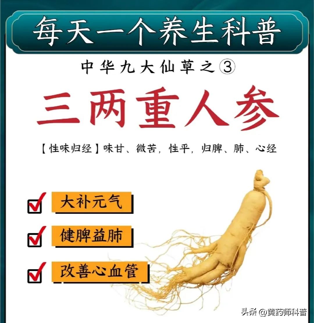 九大仙草哪个药用价值最高,中草药鬼针草的药用价值