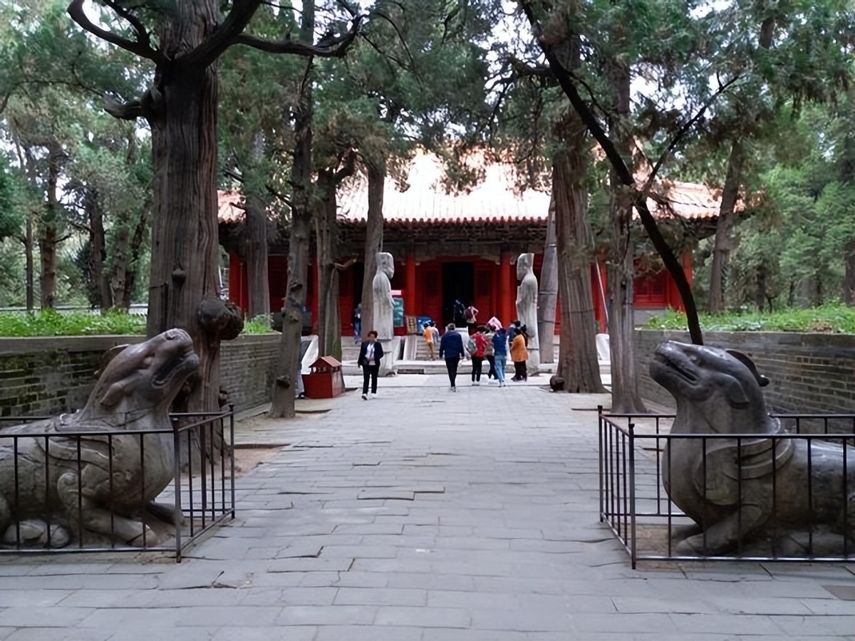 山东孔林为何能乌鸦远避，蛇类不侵？老祖宗的智慧让人叹服