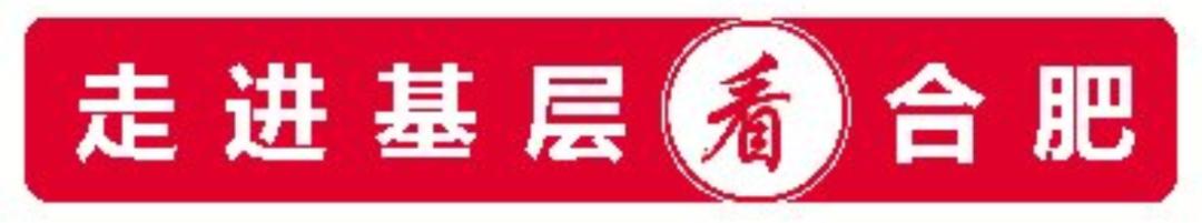 看！这些“种子”在合肥茁壮成长