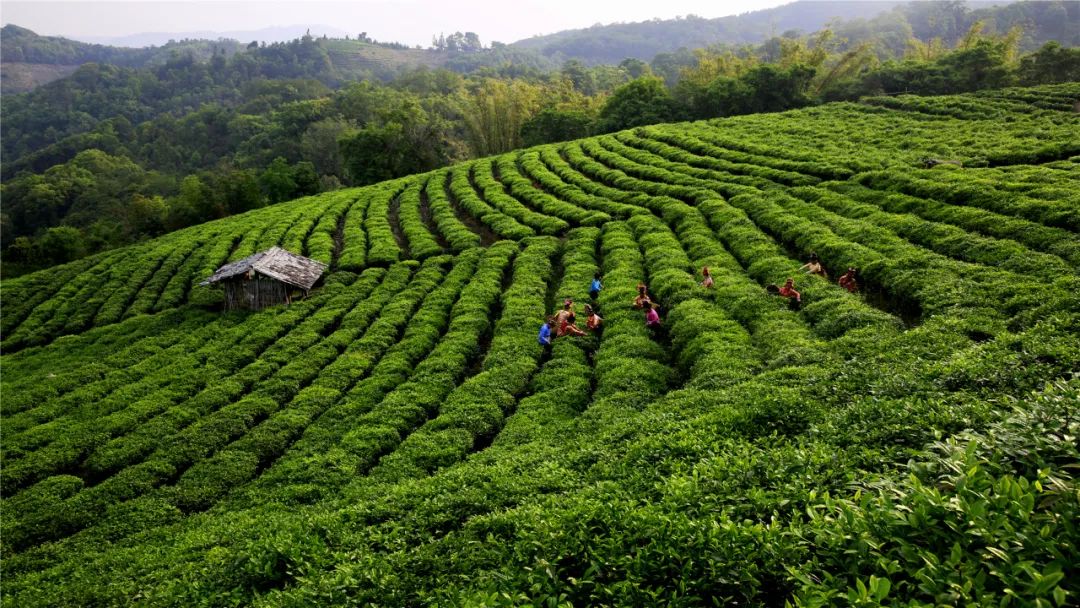 腾冲为什么叫腾冲呢,为什么腾冲值得去