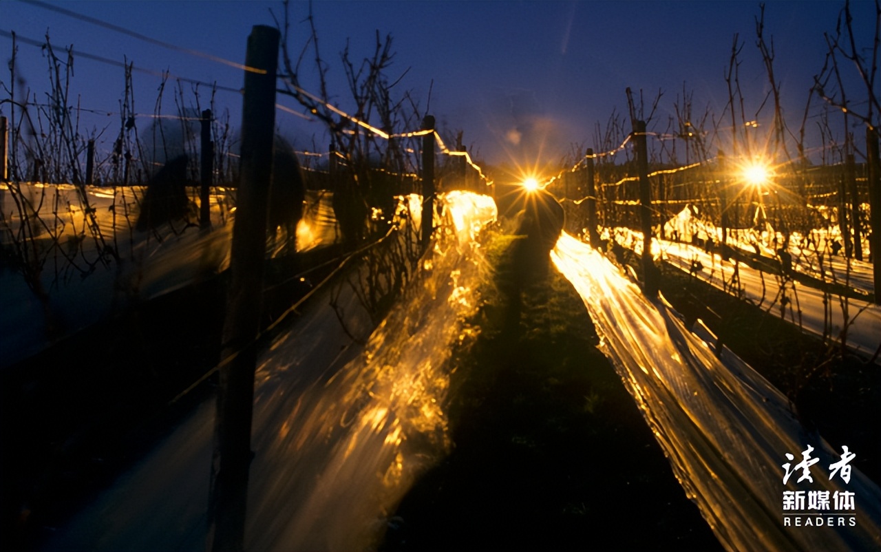 一个人最高级的活法完整版,六句话告诉你一个人最好的活法