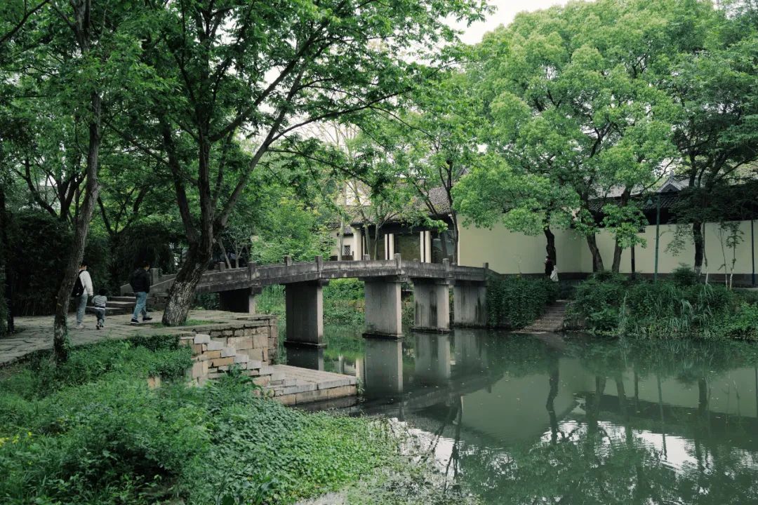 春天的潺潺溪水,春天的顶流