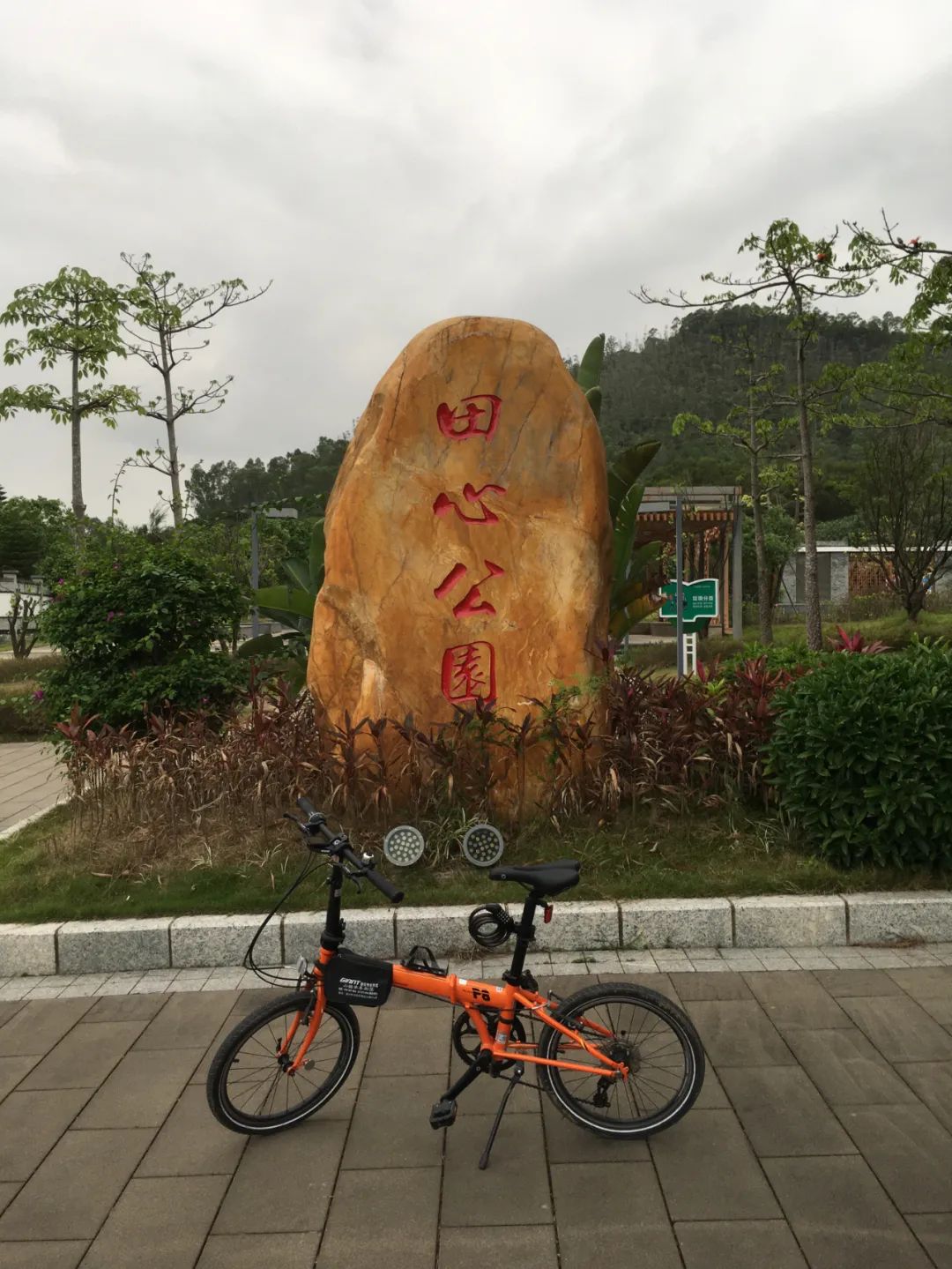 旭光车行雅迪电动车,旭光单车