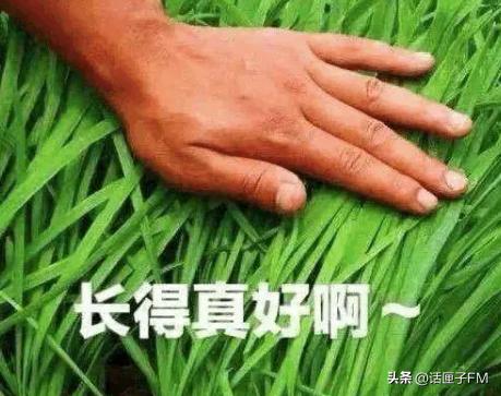 网购卫生纸十卷,网购十卷卫生纸只收到一卷