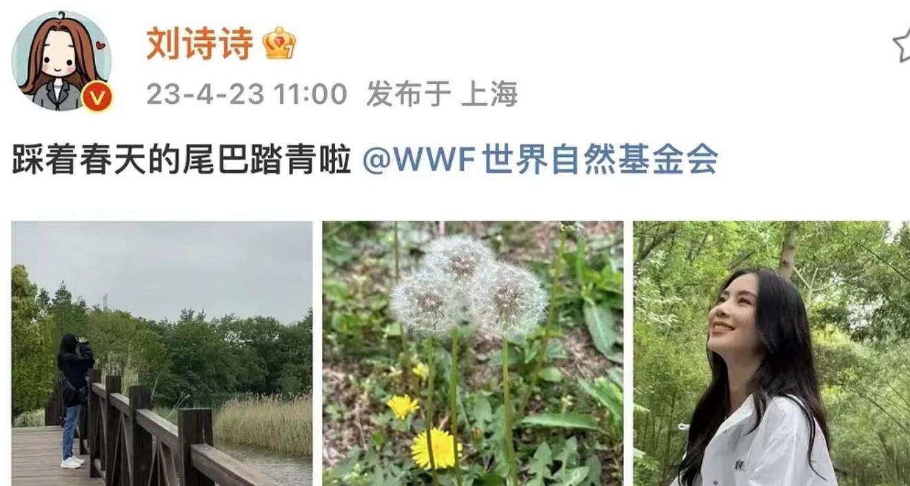 刘诗诗再战时装周早春写真惊艳,刘诗诗一袭粉裙优雅精致