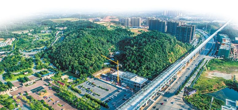 一步慢步步慢下一句怎么接,一步慢步步慢