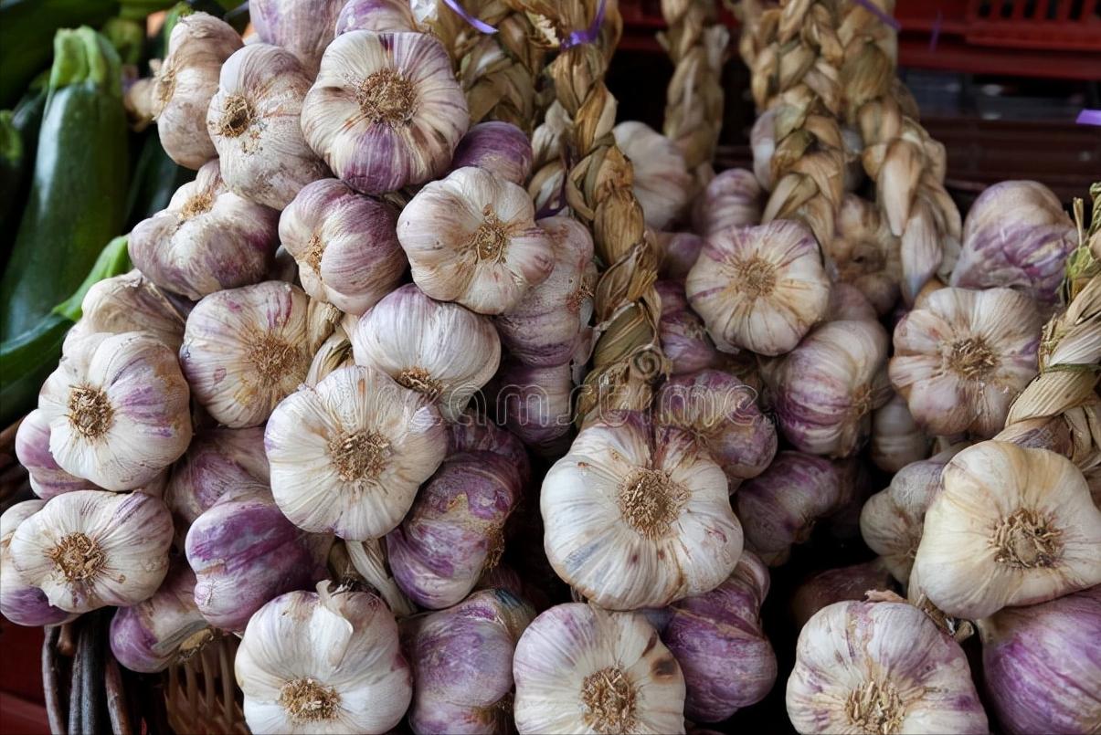 大蒜要怎么储存才不会发芽,大蒜怎么保存才不会干瘪发芽