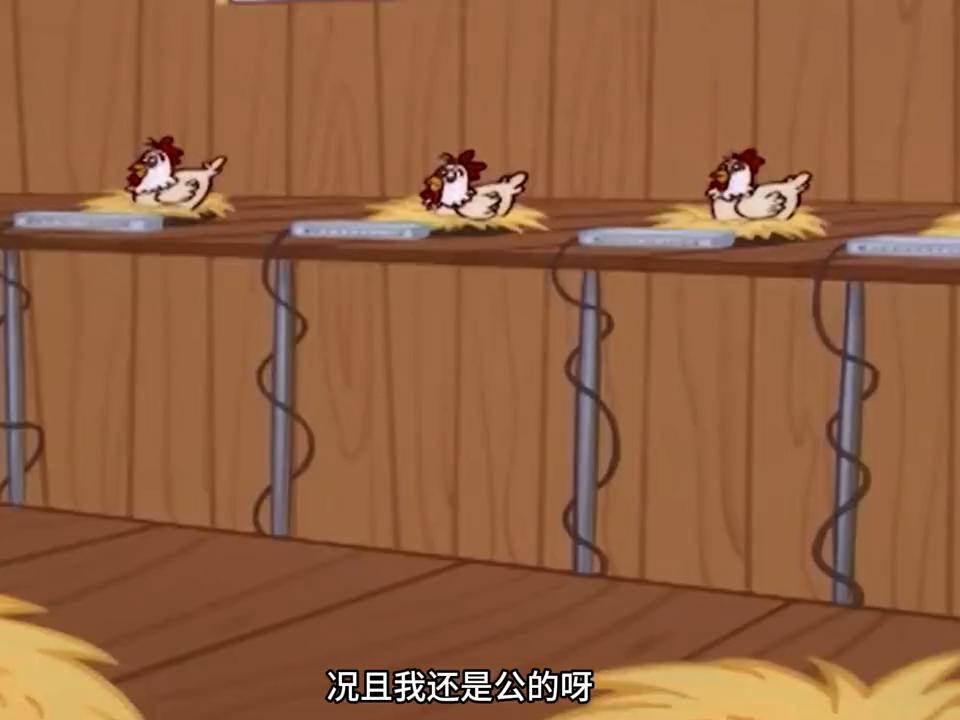 公鸡下蛋的动画电影叫什么,公鸡童年动画片