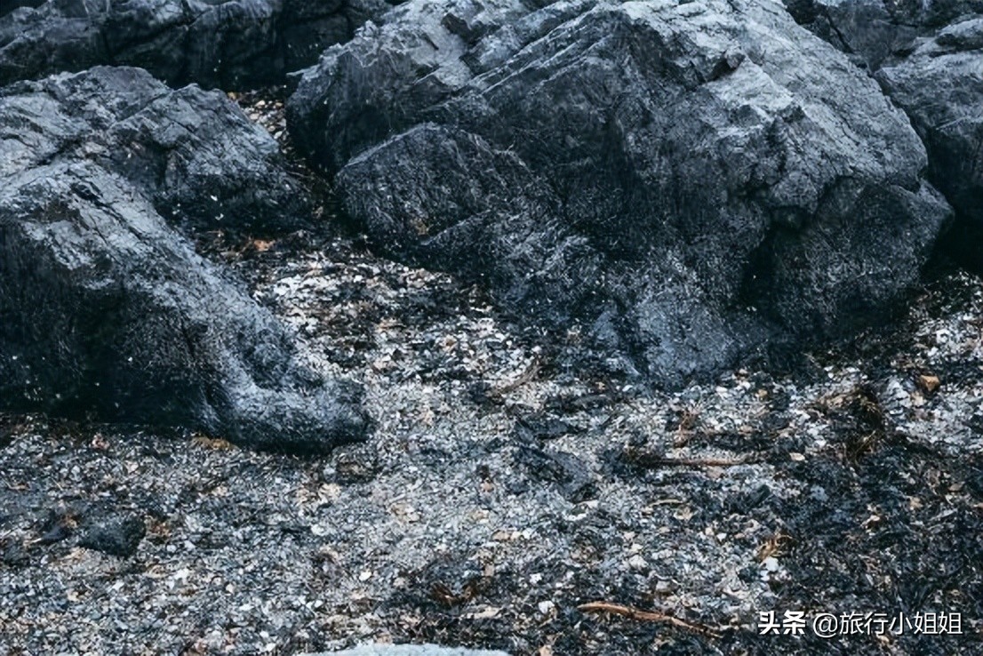 夏日海边浪漫迷人,滨城风光秀丽浪漫气息爆表