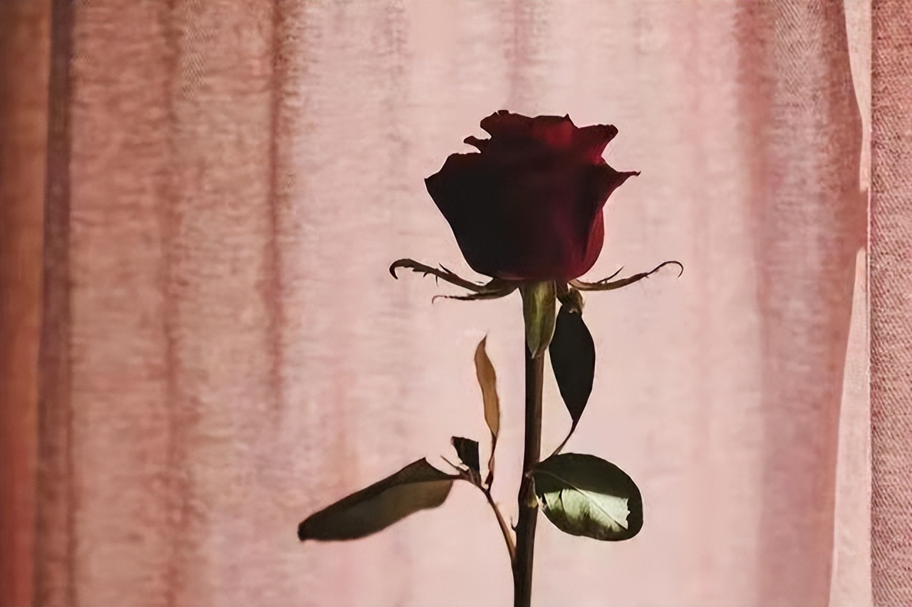 人到60岁出现这3种征兆,人过60岁这7种人不仅命好福气也大