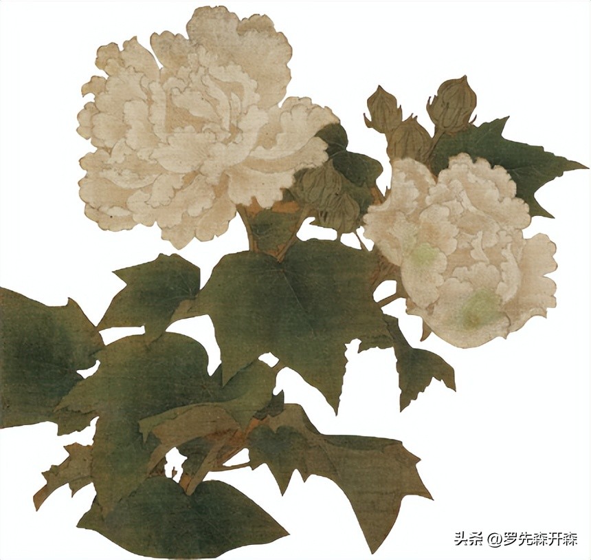 无声的陪伴小说,无声的陪伴阅读