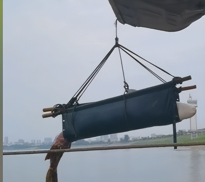 江豚回归禁渔带来长江种群新变化,长江十年禁渔江豚会恢复种群吗