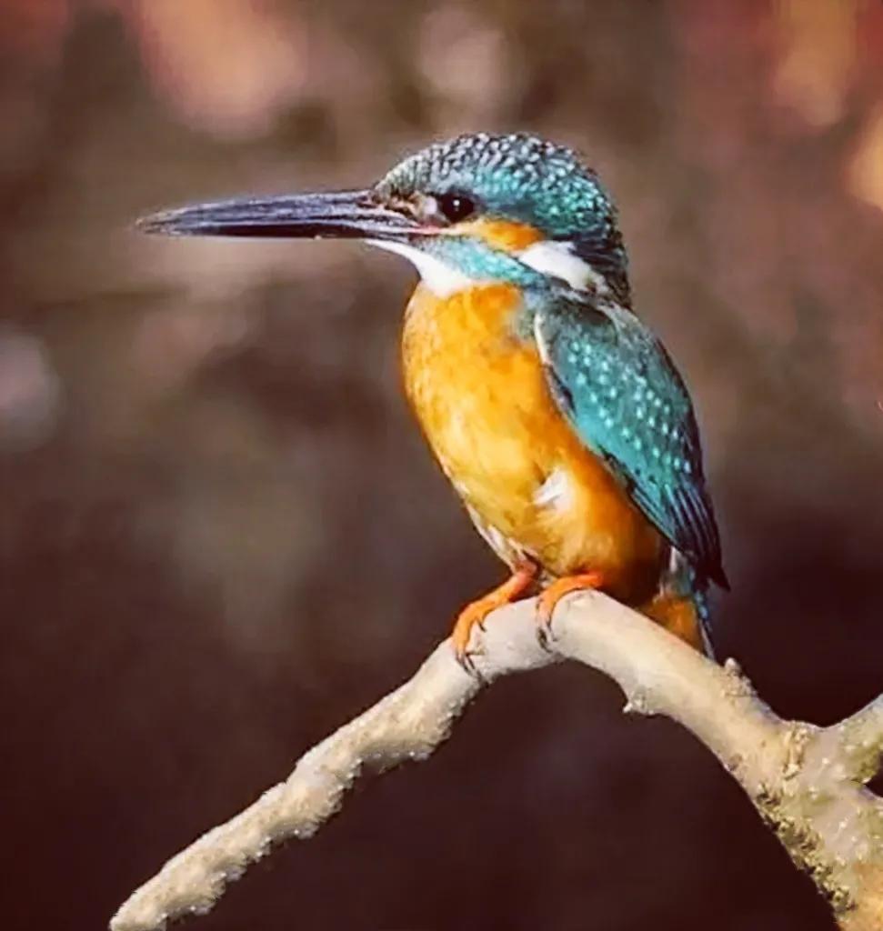 上海市嘉定区安亭国际汽车城,上海嘉定安亭国际汽车城