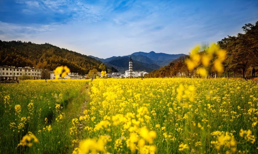 60岁之前必去的34省区最美天堂,最真实最美的旅游地方