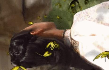 一个比一个廉价，辱智的五毛特效，但凡上点心都做不出这种东西