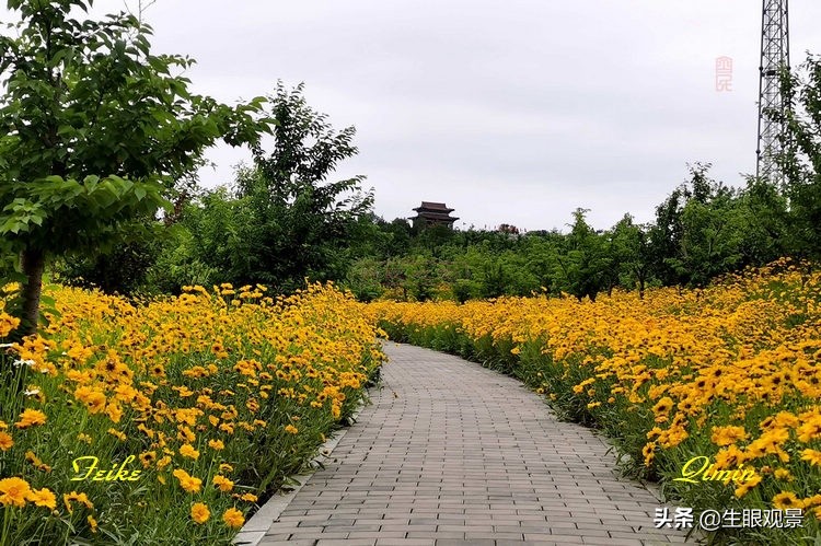 淄博花山公园好看吗,推荐一个好地方淄博花山公园