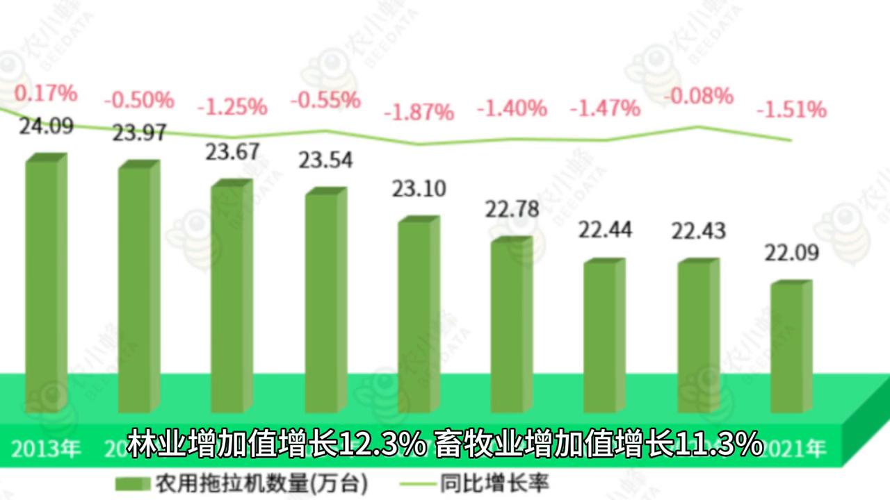 重庆武隆地理位置介绍,重庆市武隆区的人文特色
