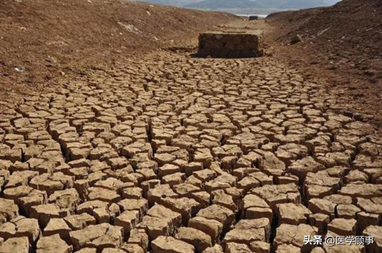 鸡蛋的味道和口感,鸡蛋的原汁原味