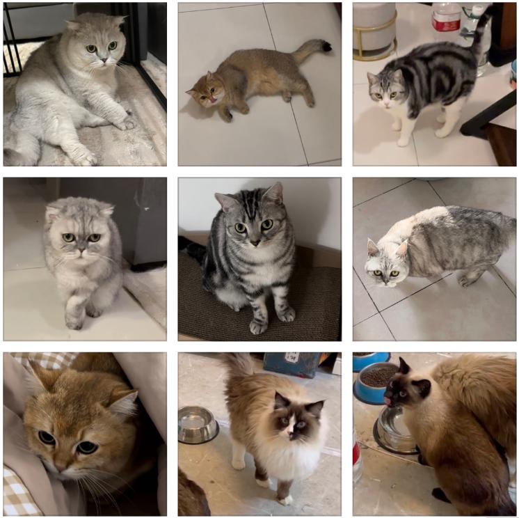 春节打工兼职,记录天选打工人一天的工作日常