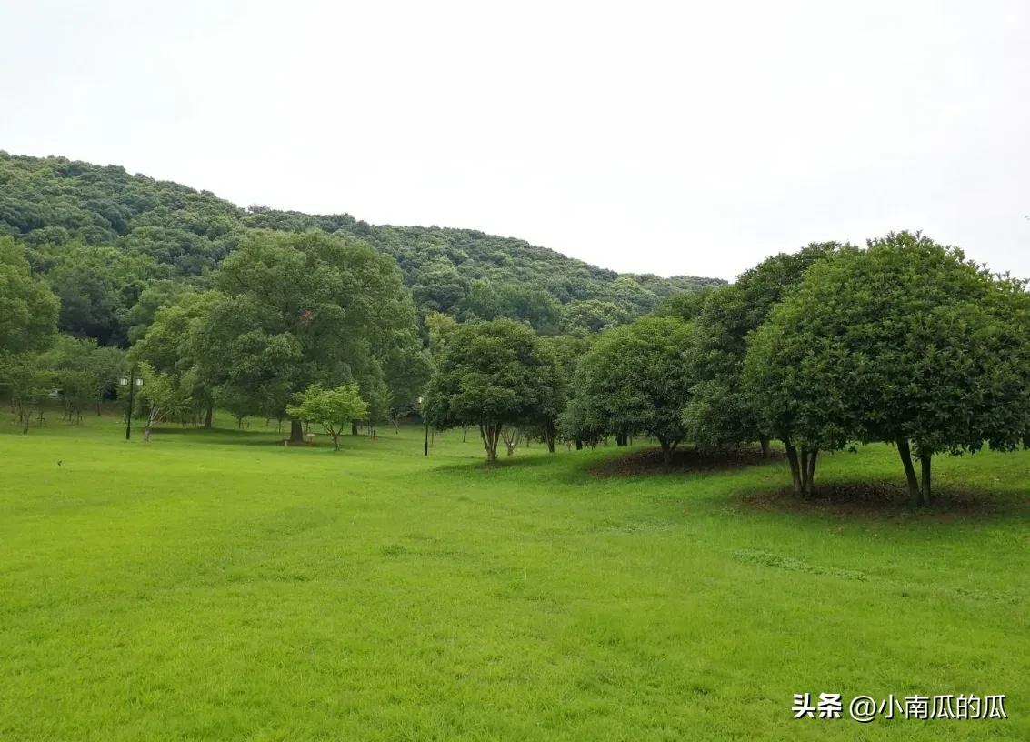 苏州休闲娱乐的景点,苏州娱乐游玩项目