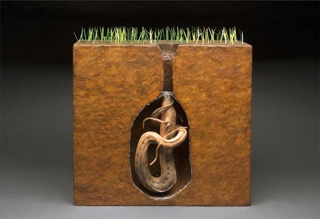 灭绝史前鱼类被发现,史前第一次生物灭绝