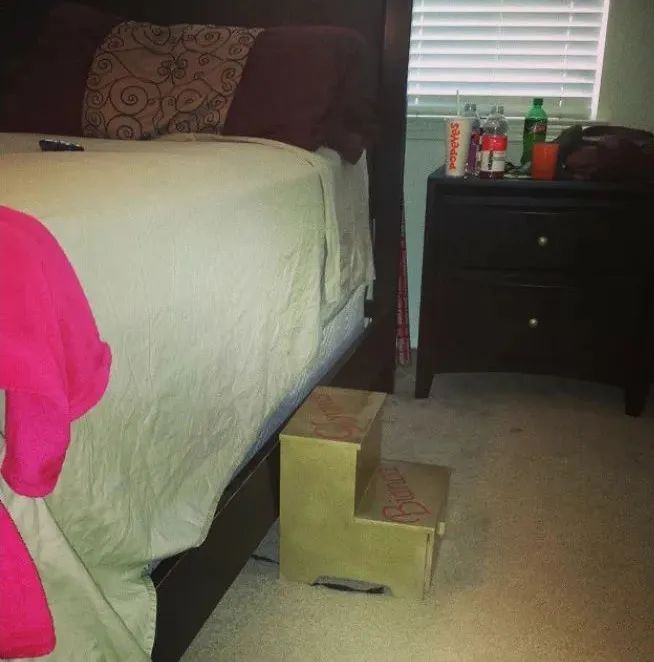 矮个子网友自爆在荷兰还没垃圾桶高？！众人围观后：又惨又好笑…