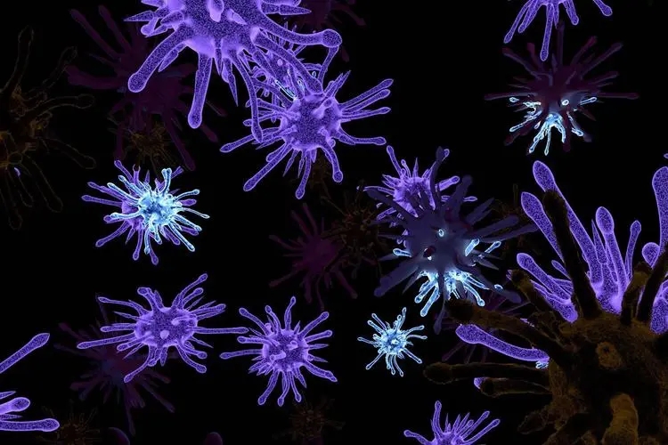 弯曲杆菌在什么地方有,弯曲杆菌有什么用