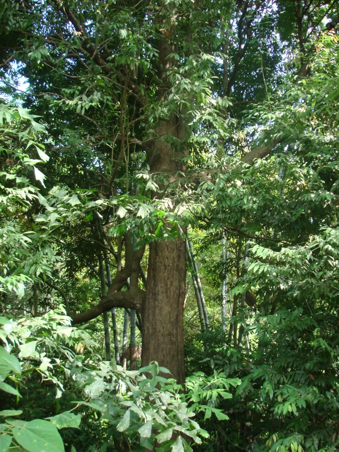 昆明七彩云南怎么样,七彩云南避暑家园