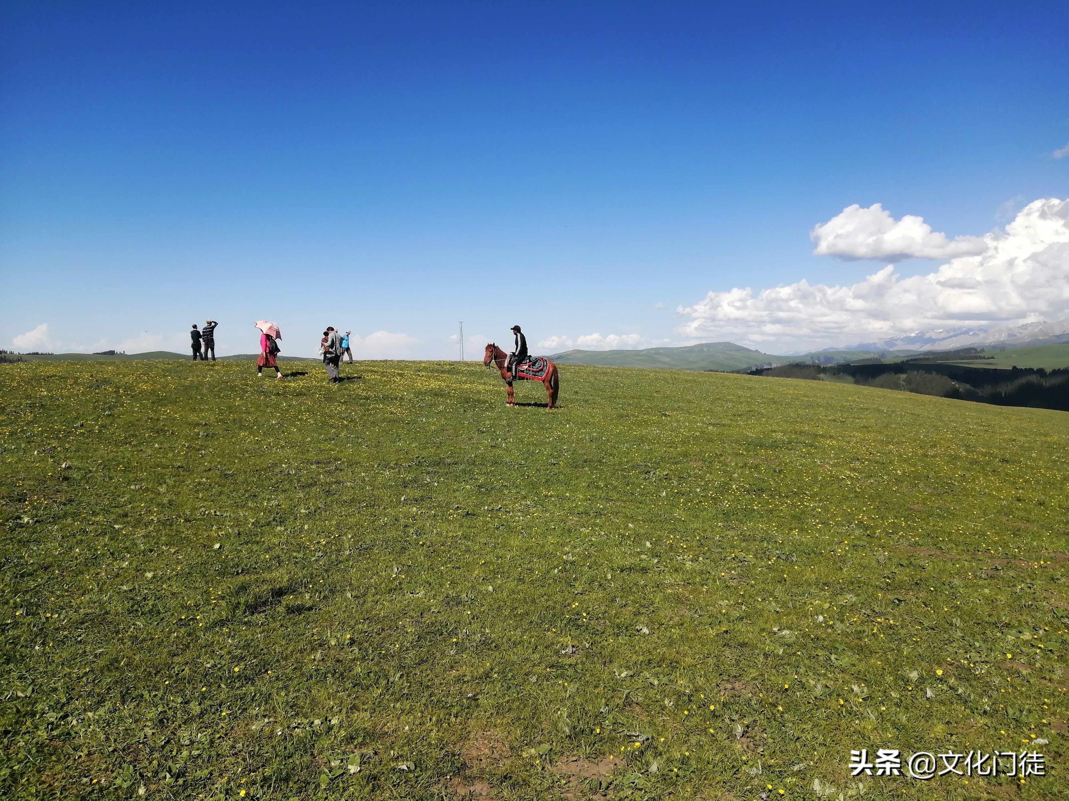喀拉峻大草原导游词,喀拉峻草原导游词1000字