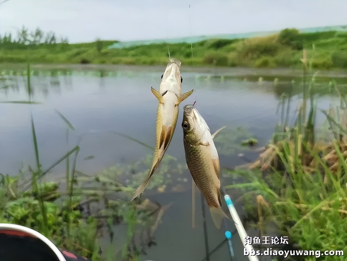 情理之中的上一句,情理之中的意料之外