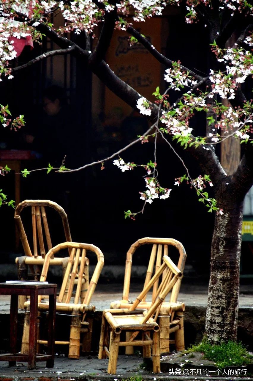 这座佛系安逸的江南老城被赞“全国最美森林火车站”