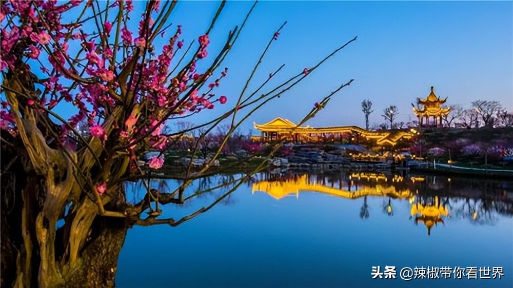 盐城最大的海边城市,盐城海岸线为何一直延伸