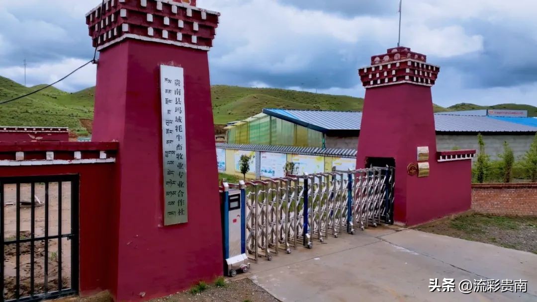 乡村振兴畜牧业,畜牧业乡村振兴