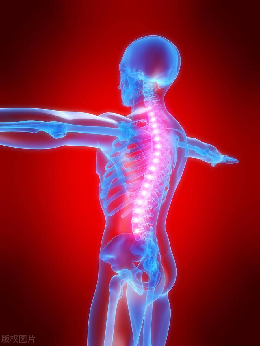 蛋白质吃多了会不会对肾脏不好,纽崔莱蛋白质粉喝多会不会伤肾